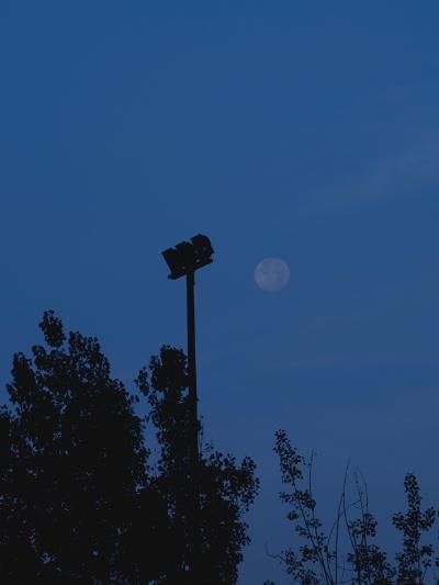 IMG_20231129_082442.jpg
