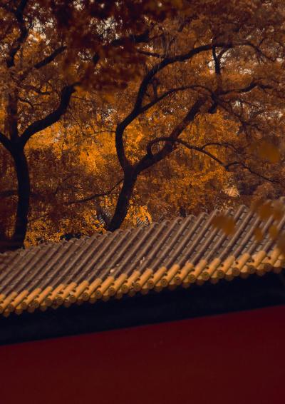 朝天宫秋色