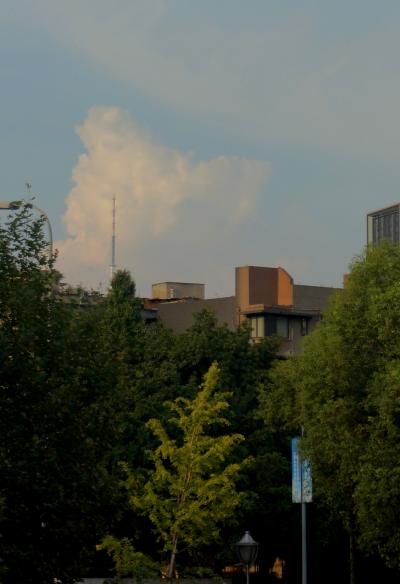 Image_1708067924362.jpg